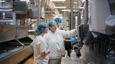 Dairy Engineering Programme 