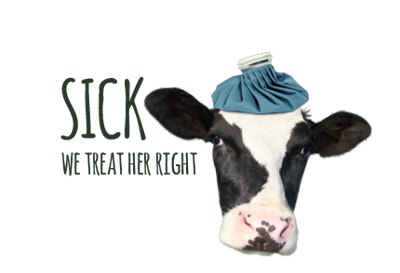 Caring for our cows