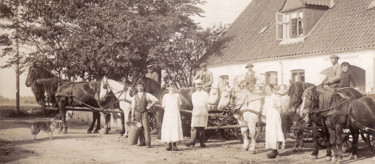 Arla history