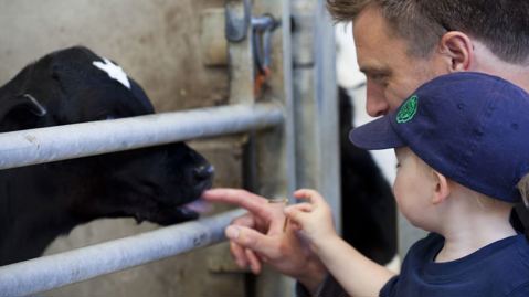 Visit an Arla farm
