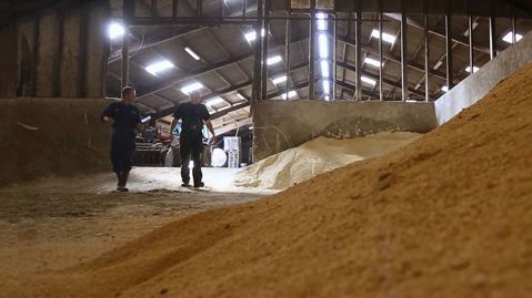 Responsible, sustainable sourcing