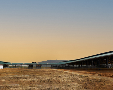 Nigeria’s growing population and demand for dairy