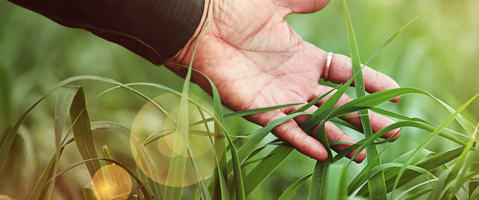 Boosting biodiversity