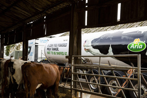 Exploring miraculous manure