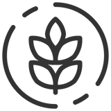 Agriculture & Sustainability